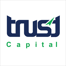 Trust Capital logo